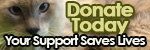 Donate Today - Your Support Saves Lives