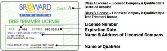 Tree Trimmer License