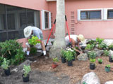 people gardening