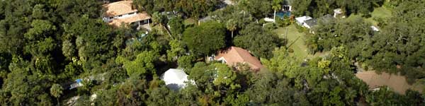 aerial photo of home surrounded by trees