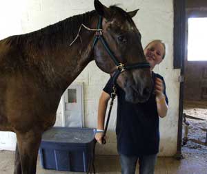 A young girl taking care of a horse at the stables