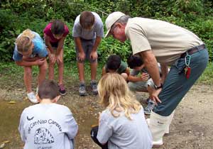 children exploring nature
