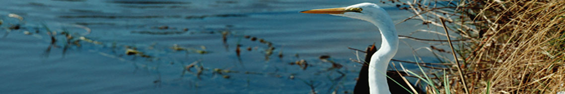 Natural Resources Planning and Management Division