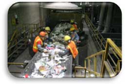 Employees sorting recyclables