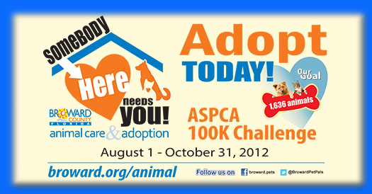 Adopt Today, ASPCA 100K Challenge