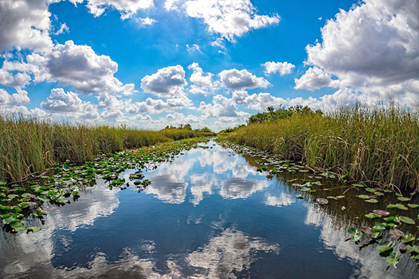 Everglades Protection