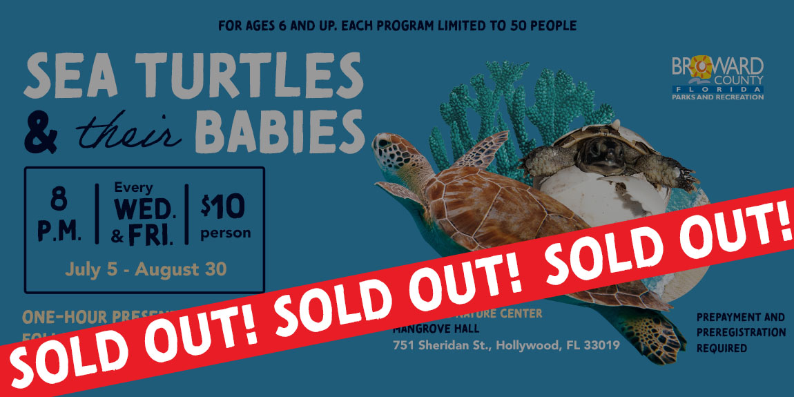 2023_Sea Turtles and their Babies ProgramWebsite Carousel_Sold Out.jpg