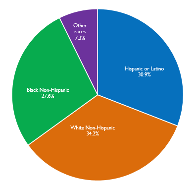 Race%20and%20Ethnicity%20of%20Residents.PNG